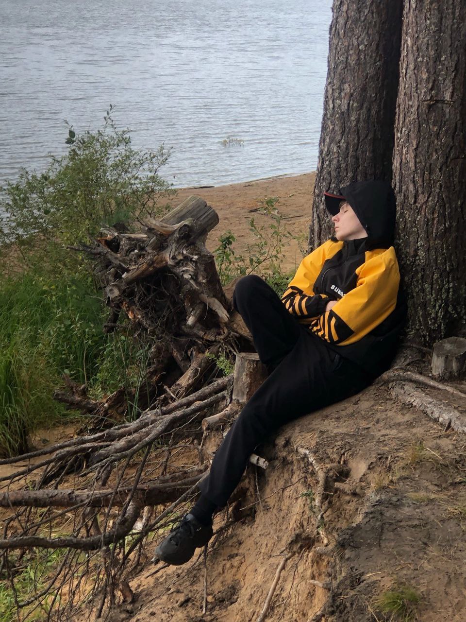 Сертификат Введение в C++